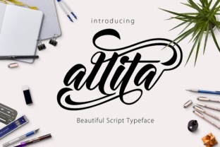 Allita Font Review: A Script Typeface for Campaigns