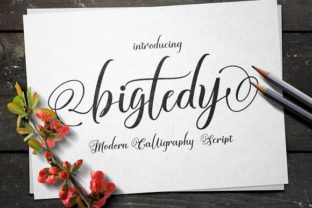 Bigtedy Font: Elevating Campaign Visuals with Fluid Script