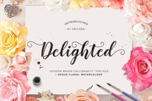 Delighted Font: Modern Script for Business Branding