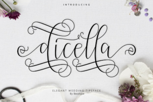 Dicella Font Review: A Modern Script for Branding