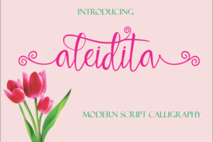 Enhance Your Brand with Aleidita: A Modern Calligraphy Script Font