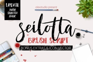Seilotta Font Review for Web Design and Branding
