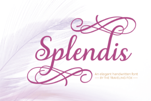Splendis Font: Elevating Handmade Labels & Packaging